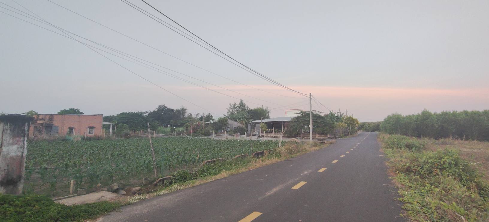 Bán đất Phước Tân, Hồ Tràm, diện tích 15x28m, vị trí kinh doanh tốt