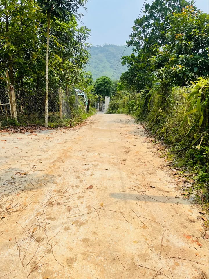 Bán nhà riêng quận Cẩm Lệ, thành phố Đà Nẵng, giá 700 triệu