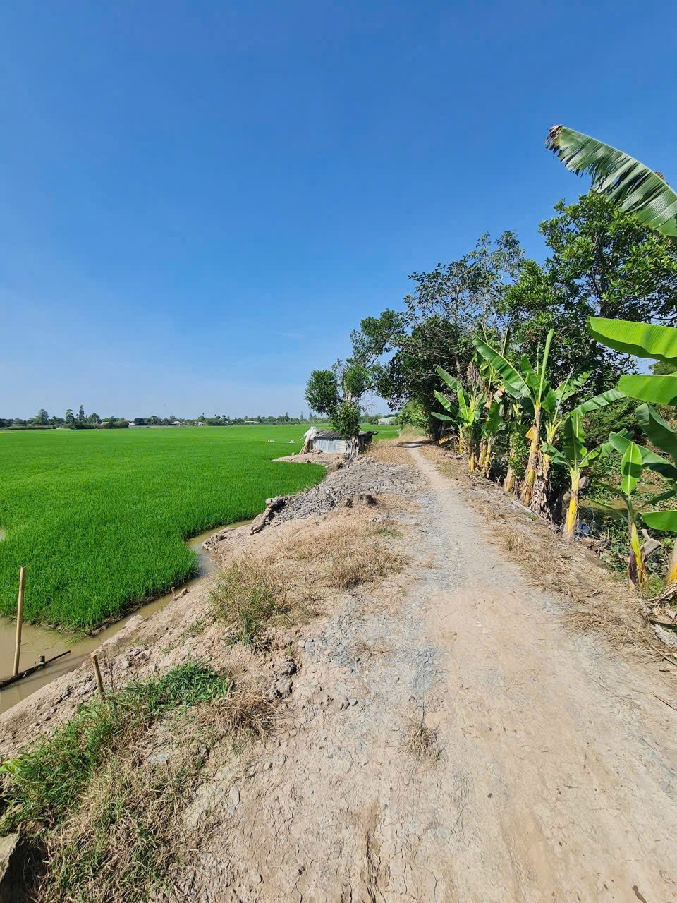 Bán nhà riêng huyện Lai Vung, tỉnh Đồng Tháp, giá 380 triệu