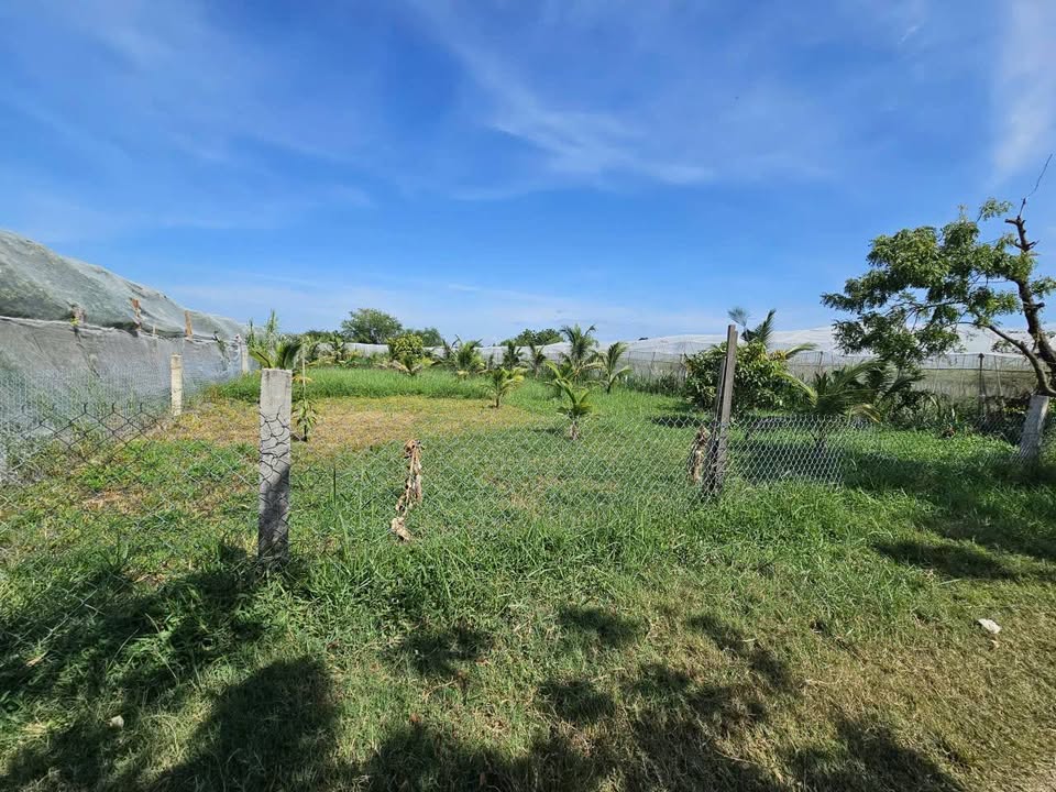 Bán đất huyện Ninh Phước, tỉnh Ninh Thuận, giá 579 triệu