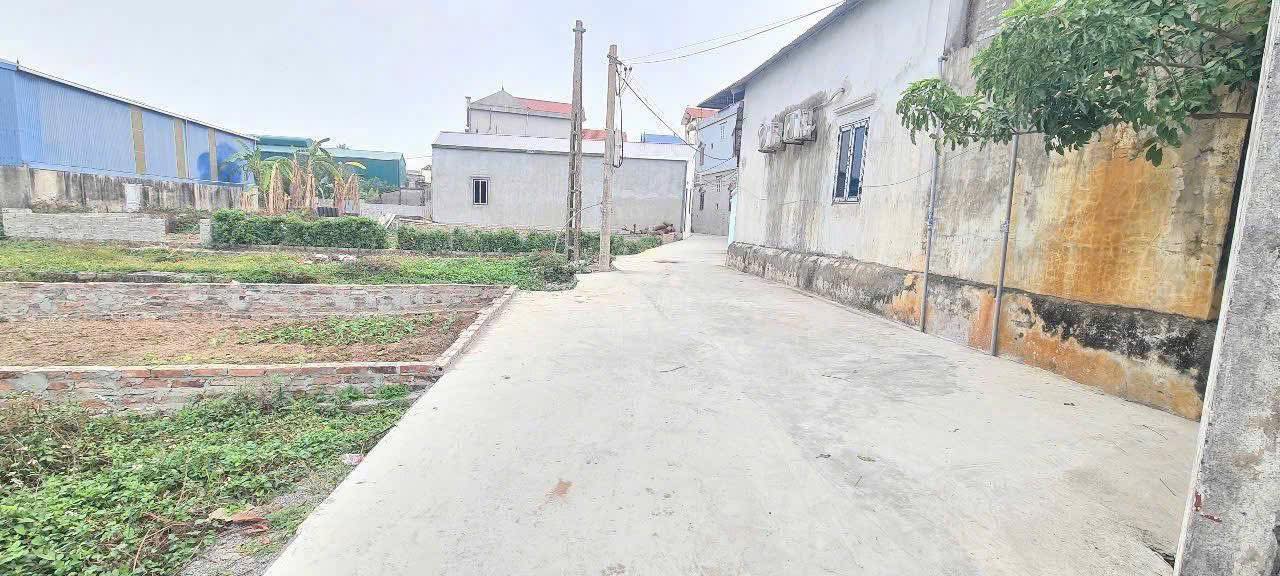 Bán đất huyện Thanh Oai, thành phố Hà Nội, giá 4 tỷ