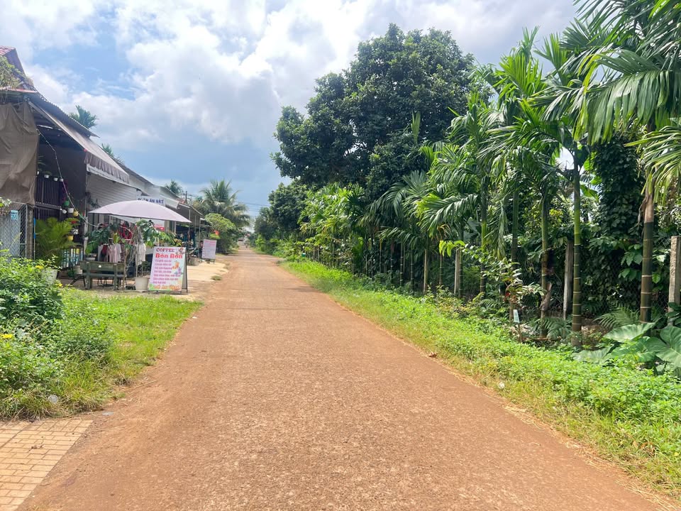 Bán đất tại Buôn Ju, Tân An, 10x41m, kinh doanh sầm uất, giá 4 tỷ