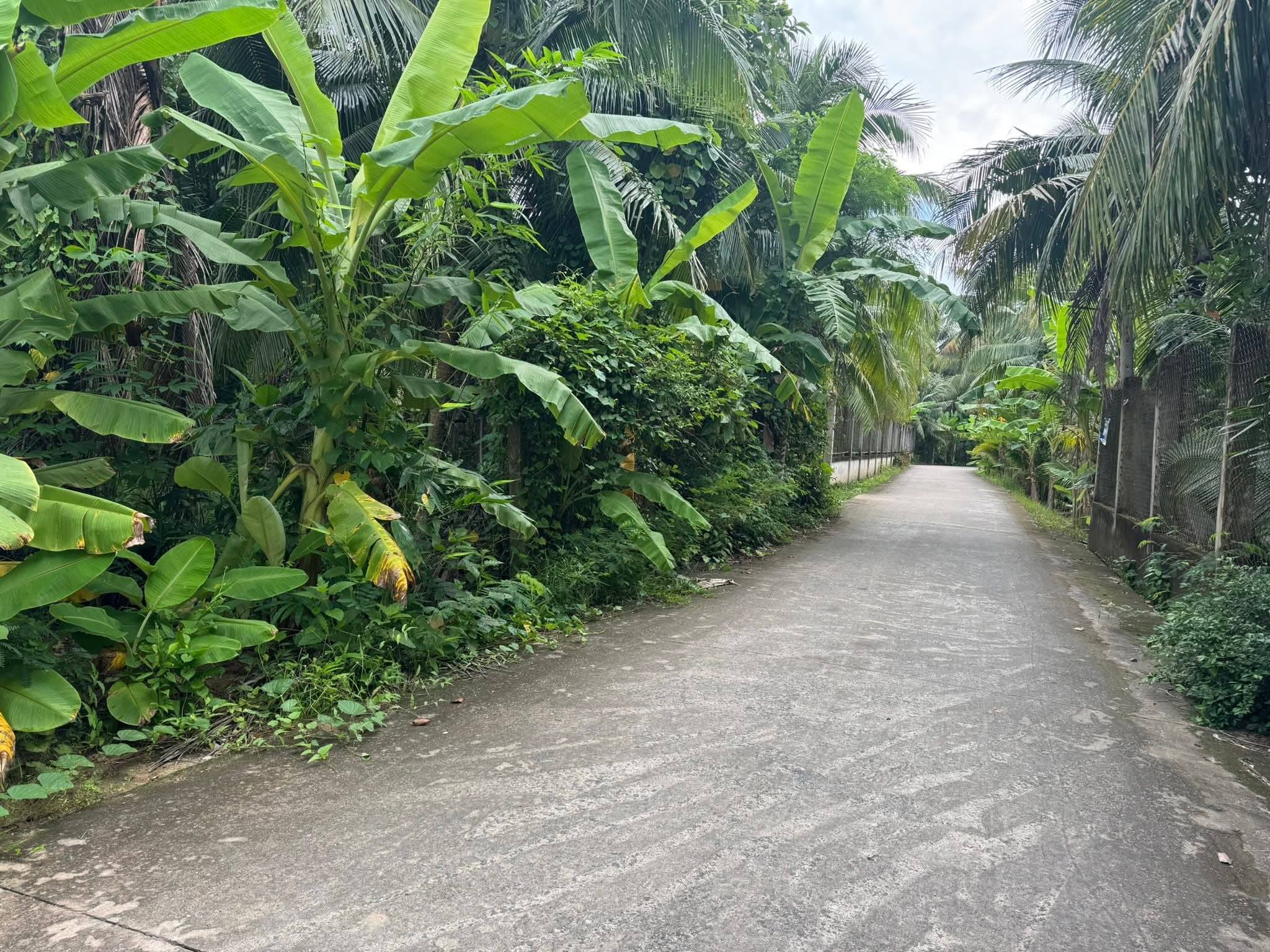 Bán đất huyện Châu Thành tỉnh Bến Tre, giá 1,5 tỷ