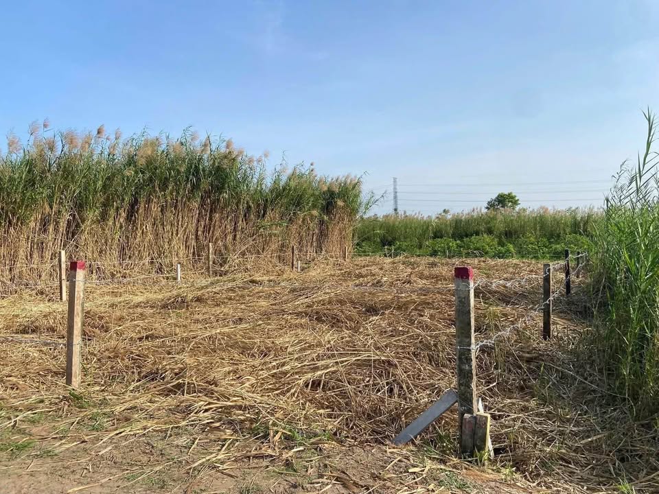 Bán đất quận Cái Răng, thành phố Cần Thơ, giá 450 triệu