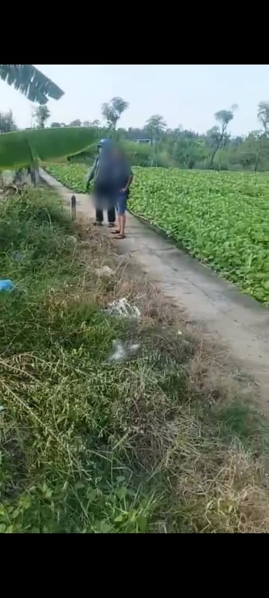 Bán đất quận Tân Bình, thành phố Hồ Chí Minh, giá 185 triệu