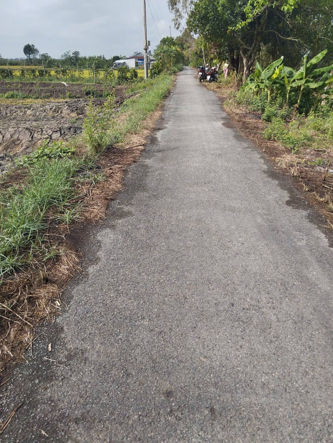 Bán 766m2 đất lúa mặt tiền lộ nhựa, cách Cao Lãnh 7km, giá 450 triệu