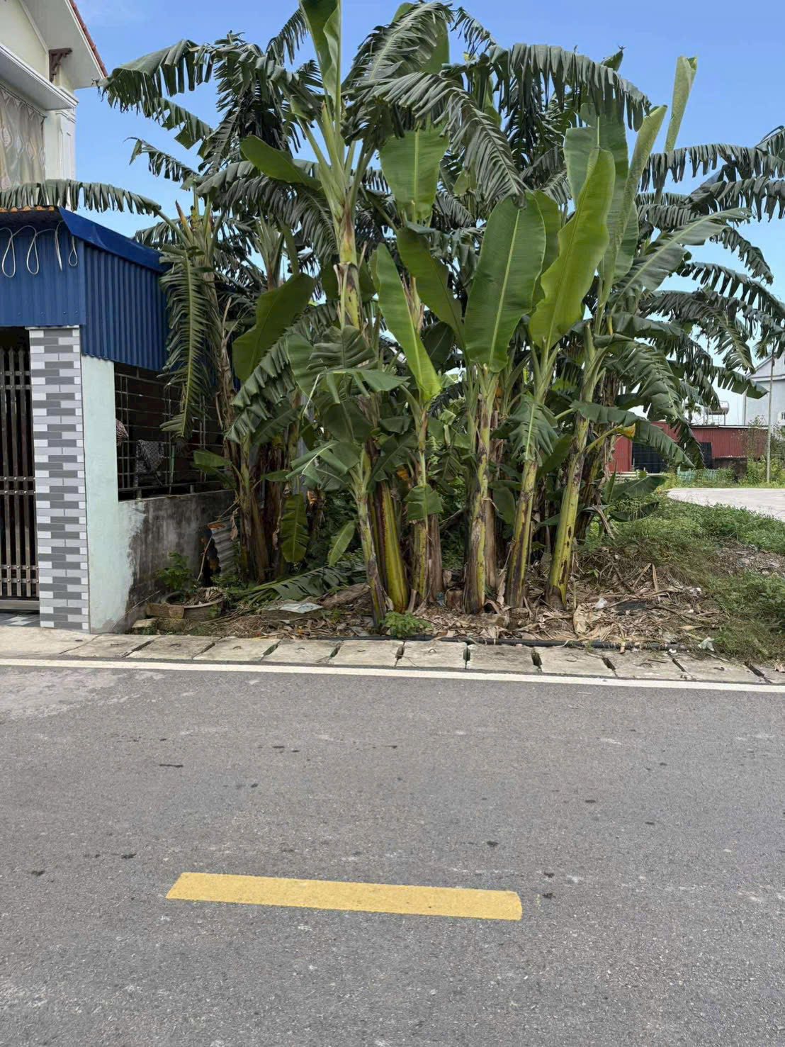 Bán đất Thủy Nguyên, Hải Phòng, kinh doanh sầm uất, đường thông ô tô