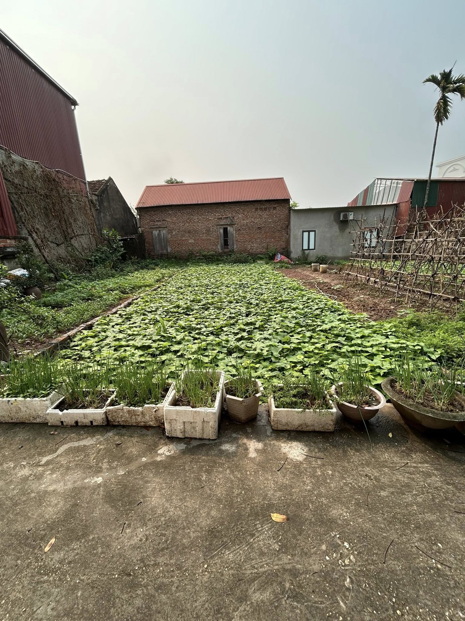 Bán đất Thọ Lộc, ô tô vào tận đất