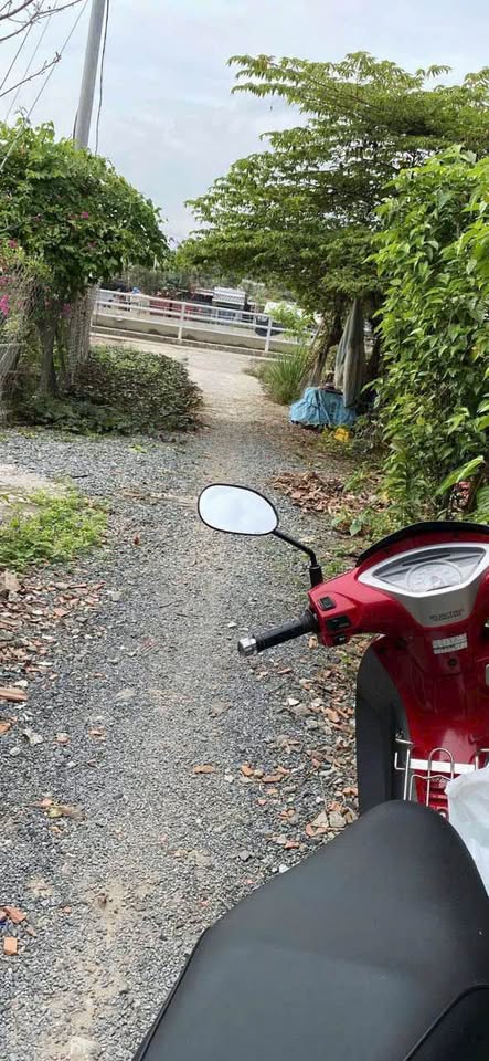 Bán nhà và đất đường Công Lý nối dài thuộc thị trấn Mỏ cày Nam, giá 650 triệu