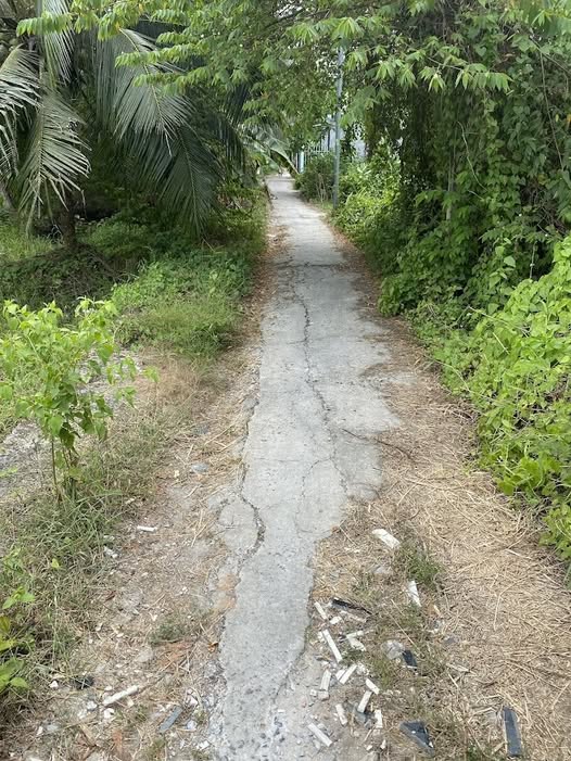 Bán đất nền xã Hữu Định, Châu Thành, Bến Tre, giá 450 triệu