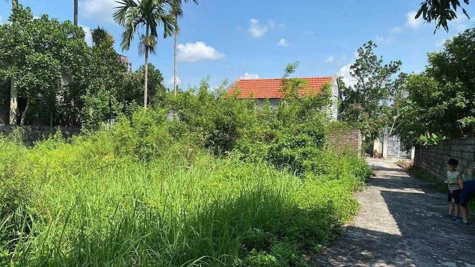 Bán đất Xuân Khê, Lý Nhân, diện tích 126m2