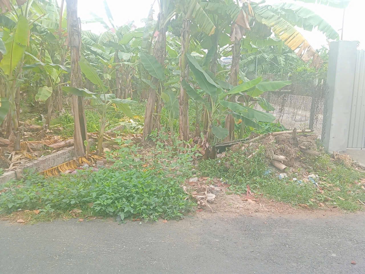 Bán đất tại trục chính ngõ 35 Nguyễn Văn Linh, Xuân Hoà