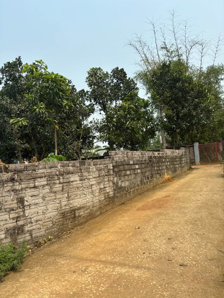 Bán lô đất 3 mặt tiền, view đỉnh cao Ba Vì