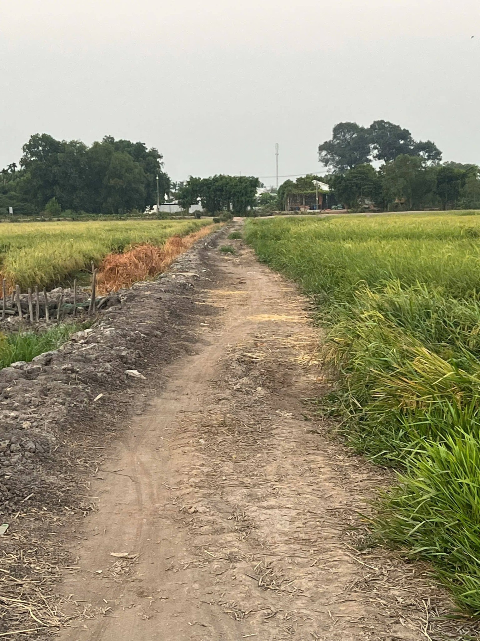 Bán đất Hóc Môn, diện tích 4100m2, giá 1.5 triệu/m2