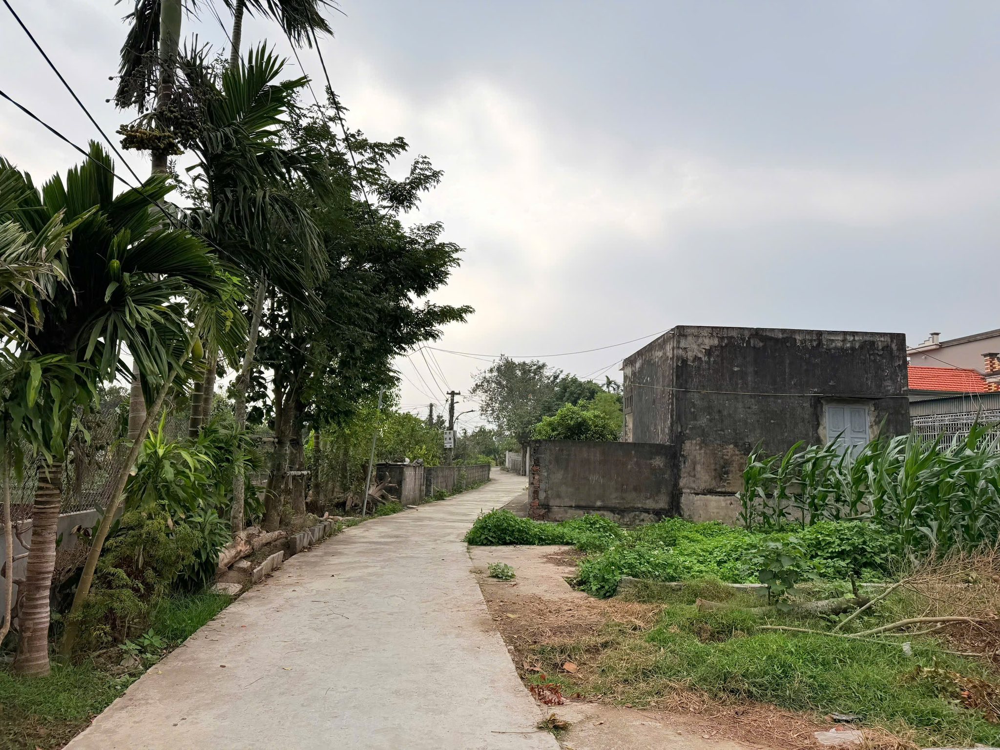 Bán đất huyện Quỳnh Phụ tỉnh Thái Bình, giá 600 triệu