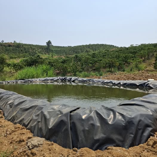 Cần bán vườn cà phê Tân Văn, Lâm Hà, Lâm Đồng, giá 2.9 tỷ