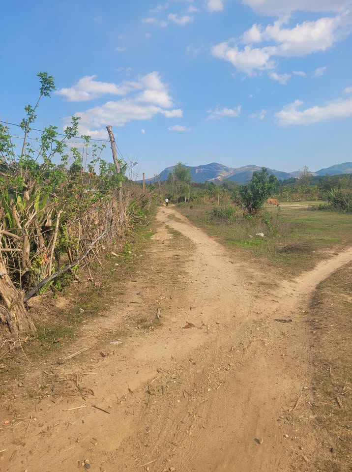 Đất vàng Nguyễn Lương Bằng, nền bằng phẳng, sổ đỏ trao tay