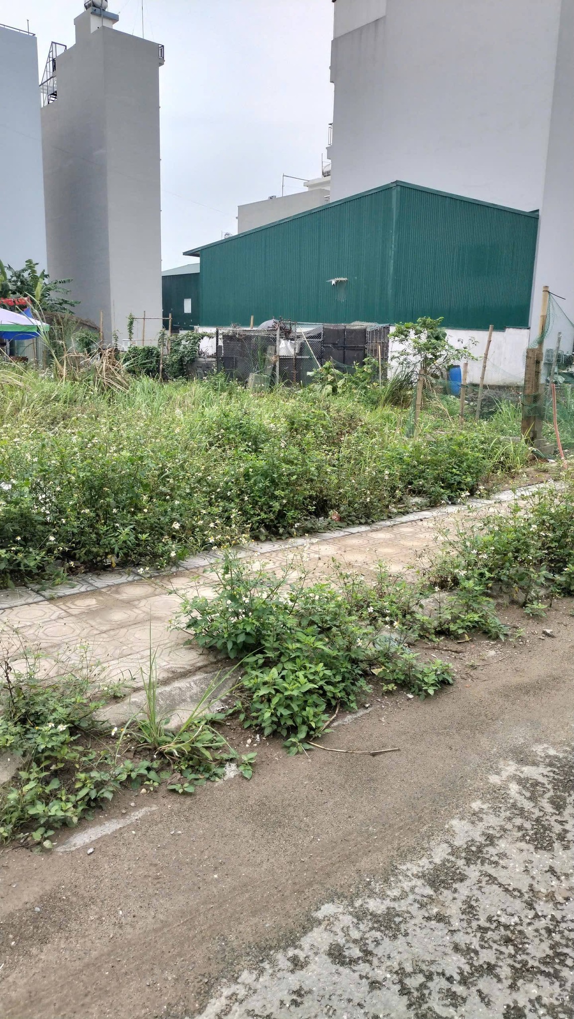 Bán đất huyện Hoài Đức, thành phố Hà Nội, giá 210 triệu/m2