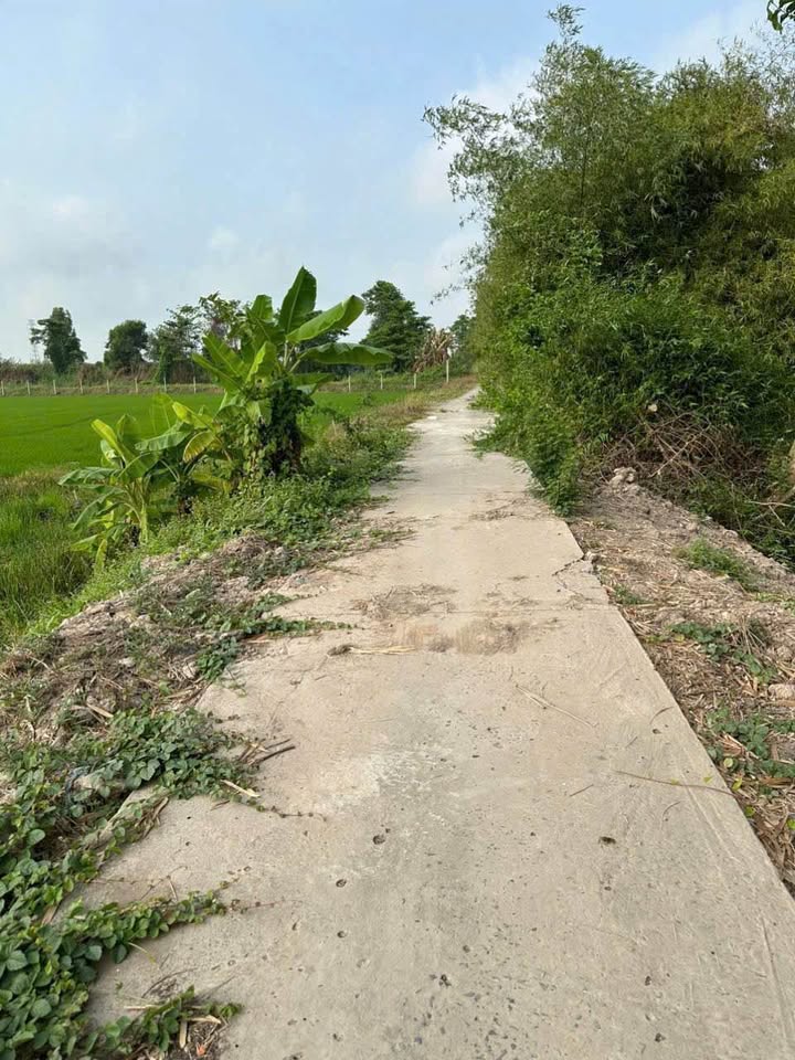 Bán đất thành phố Long Xuyên, tỉnh An Giang