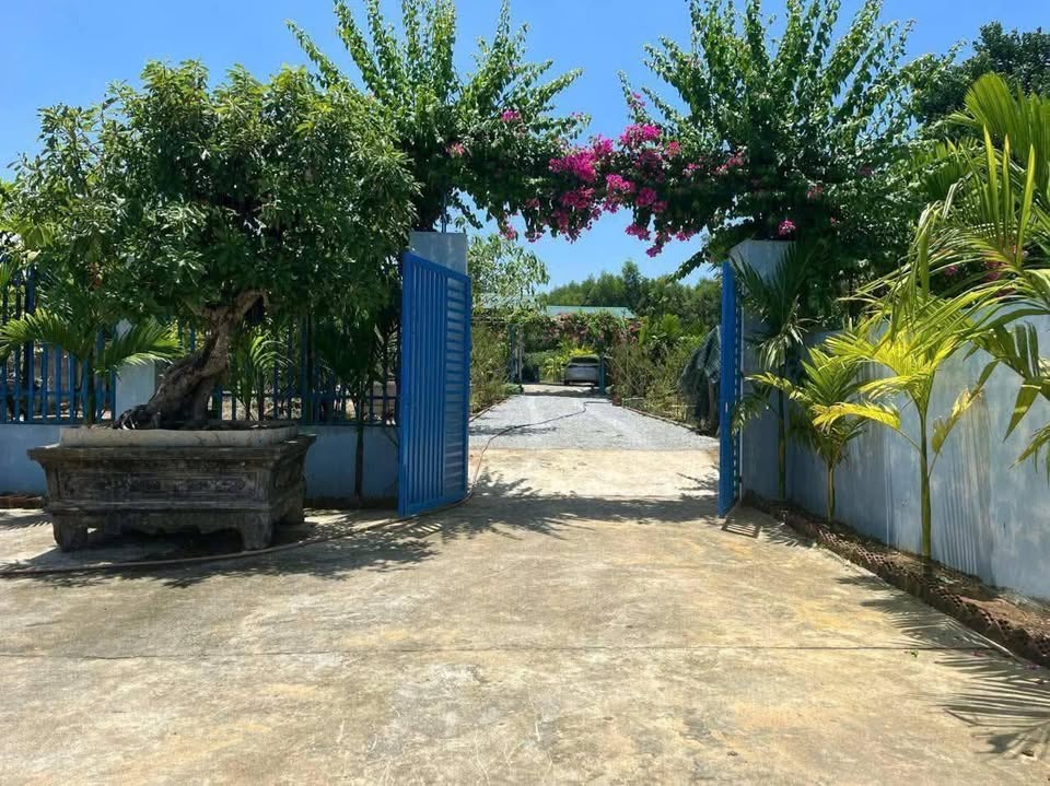 Bán đất vườn tại Nghĩa Thuận, Tư Nghĩa cũ, cách Tỉnh lộ 700m, có nhà nghỉ dưỡng và hồ cá koi