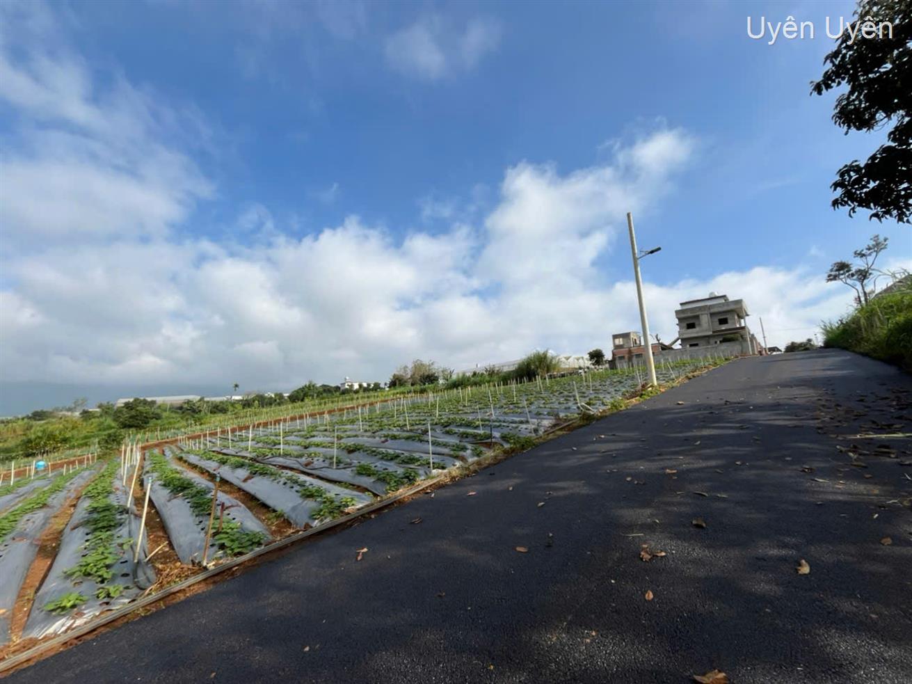Bán kho bãi, nhà xưởng, khu công nghiệp huyện Đơn Dương, tỉnh Lâm Đồng