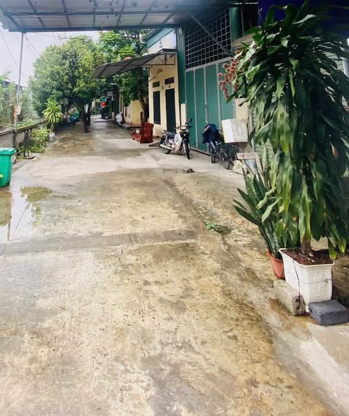 Bán đất vuông vắn 45m² tại Hiền Giang, Thường Tín, Hà Nội - Giá tốt, ngõ thông