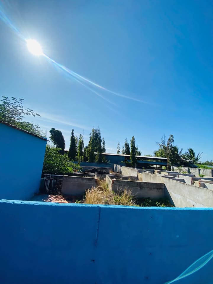 Bán đất vườn diện tích 4644m2, mặt tiền đường nhựa Từ Tâm 1, Ninh Phước