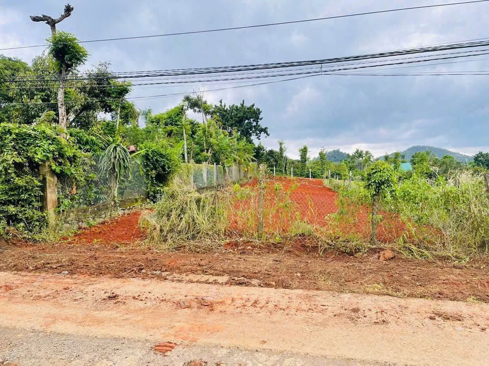 Bán kho bãi, nhà xưởng, khu công nghiệp, thành phố Buôn Ma Thuột, tỉnh Đắk Lắk, giá 1,79 tỷ