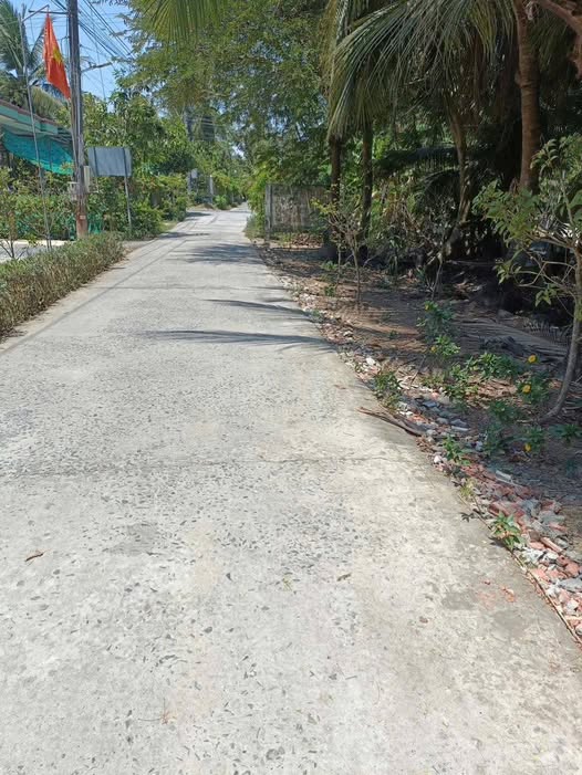 Mảnh đất vườn dừa cổ thụ, tặng nhà cấp 4, nơi bình yên neo đậu