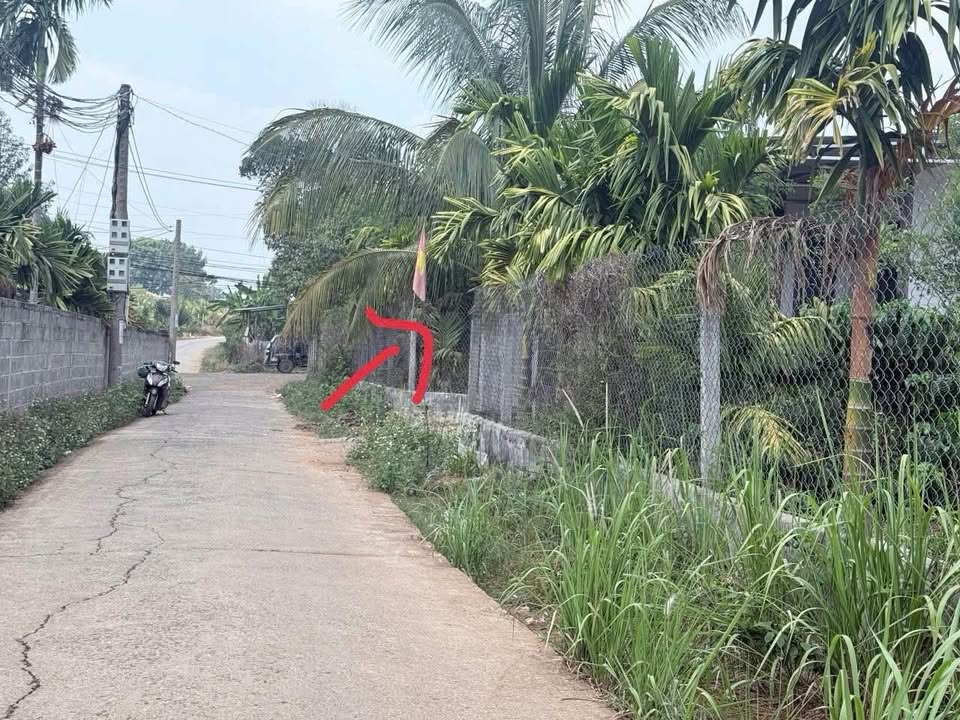 Bán đất sau chợ Hoà Thắng, cách sân bay Buôn Ma Thuột 3km, giá 876 triệu