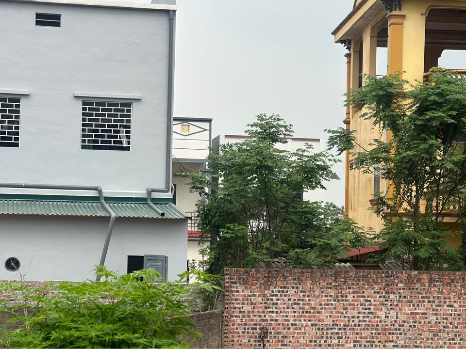 Mảnh đất vàng 147,4m2 tại Phú Thọ, sổ đỏ thổ cư, ô tô tránh, tiềm năng sinh lời cao