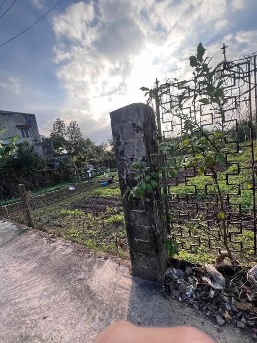 Bán đất thành phố Nam Định, tỉnh Nam Định, giá 5,5 triệu/m2