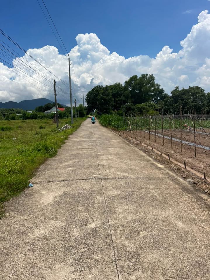 Đất Châu Pha, sổ đồng sở hữu, diện tích 100m2 thổ cư, đường 5m thông thoáng