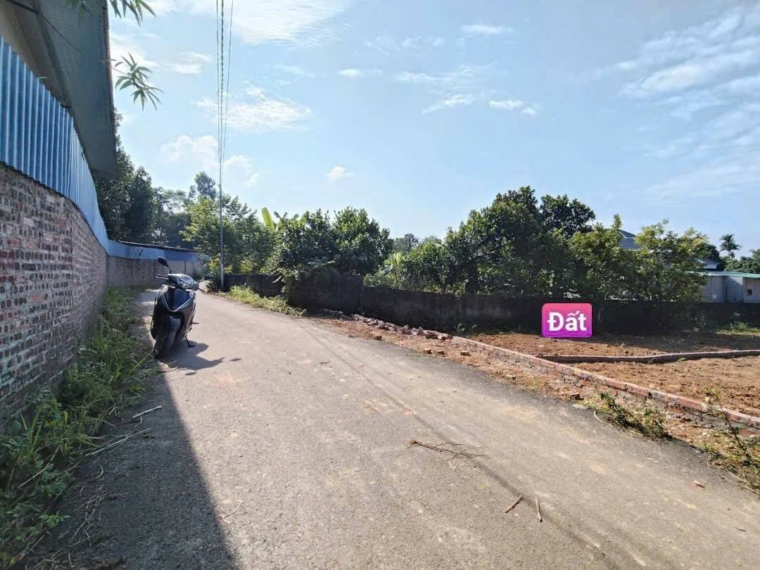 Bán lô đất Đồng Bông, Kim Long, Tam Dương, sổ đỏ sẵn sàng, giá siêu mềm