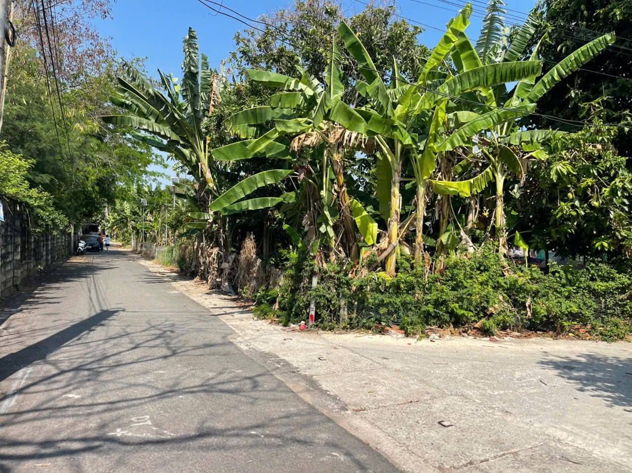 Bán đất huyện Củ Chi, thành phố Hồ Chí Minh, giá 2,2 tỷ