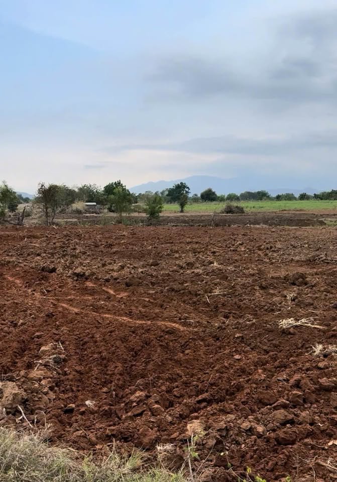 Đất Mỹ Sơn 5399m², bám suối, đất đỏ màu mỡ, giá hời 135 triệu/sào