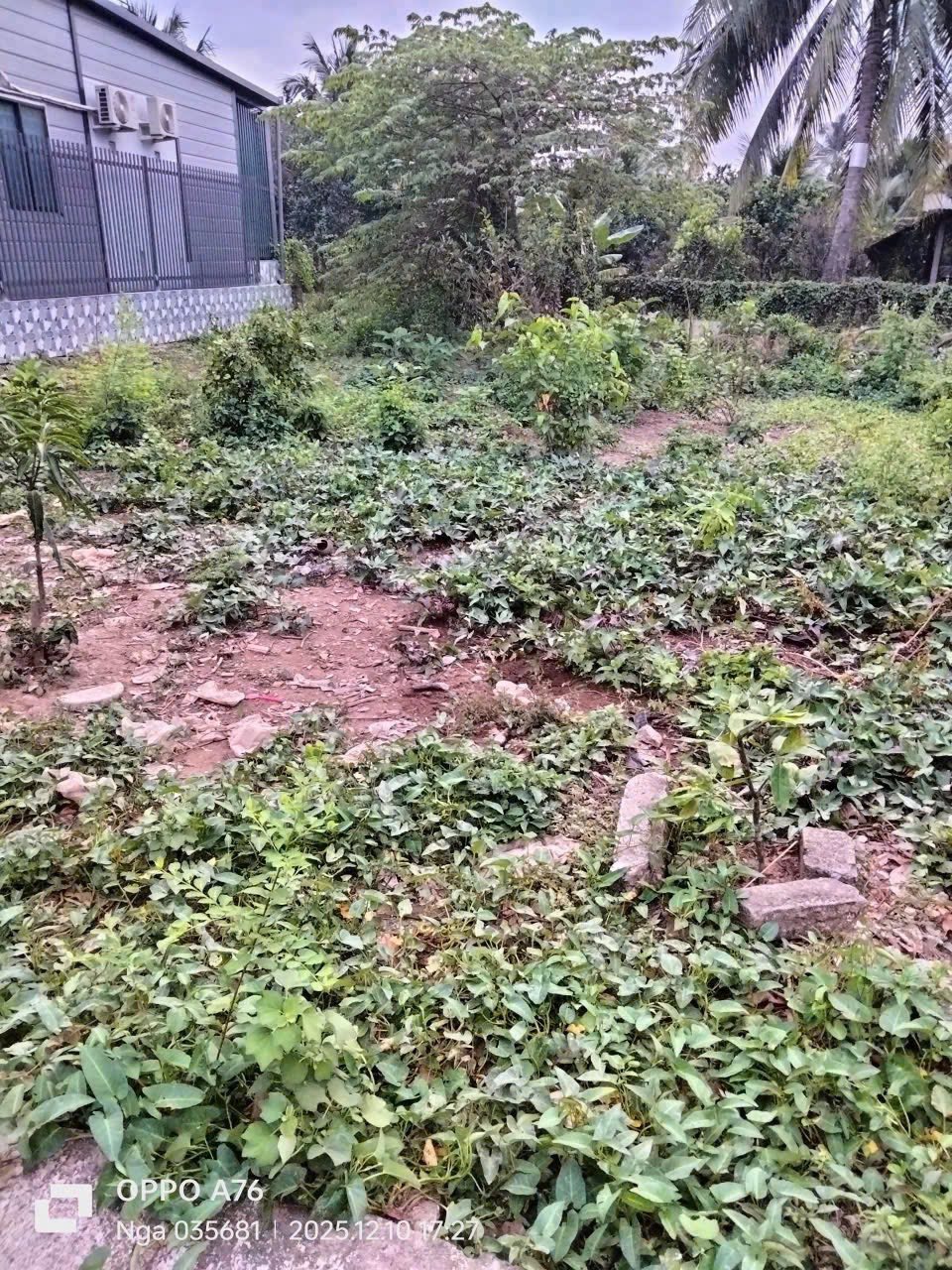 Bán mặt bằng huyện Châu Thành, tỉnh Bến Tre, giá 400 triệu