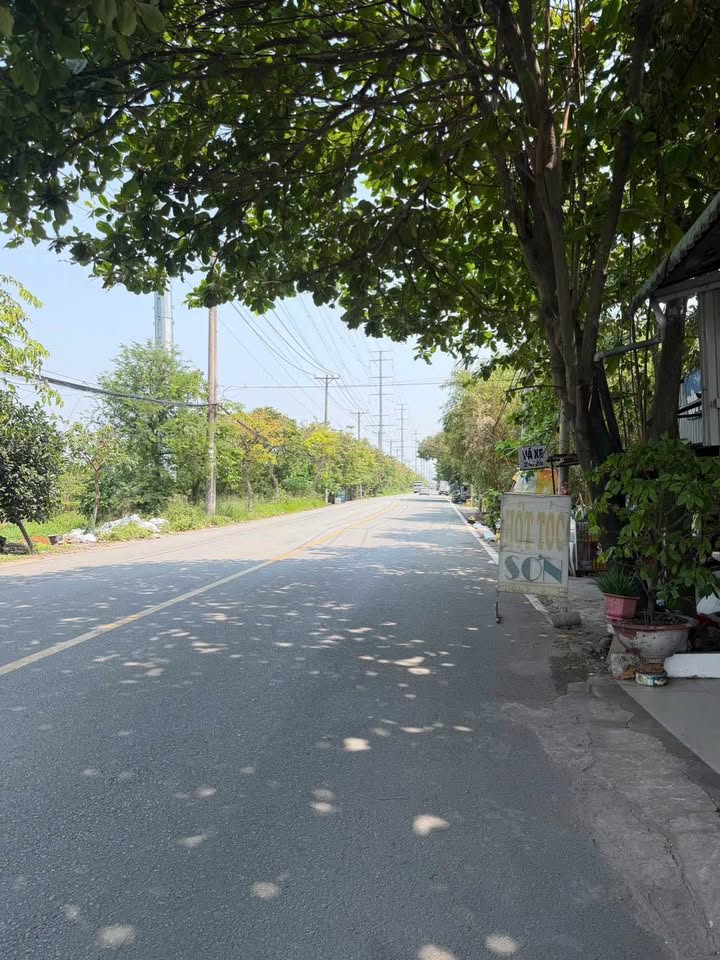 Nhà xưởng Hóc Môn, diện tích khủng, giá thơm, kinh doanh bao lời