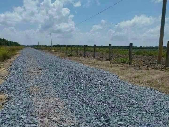 Bán đất tại Tân Phước tỉnh Tiền Giang, giá 250 triệu