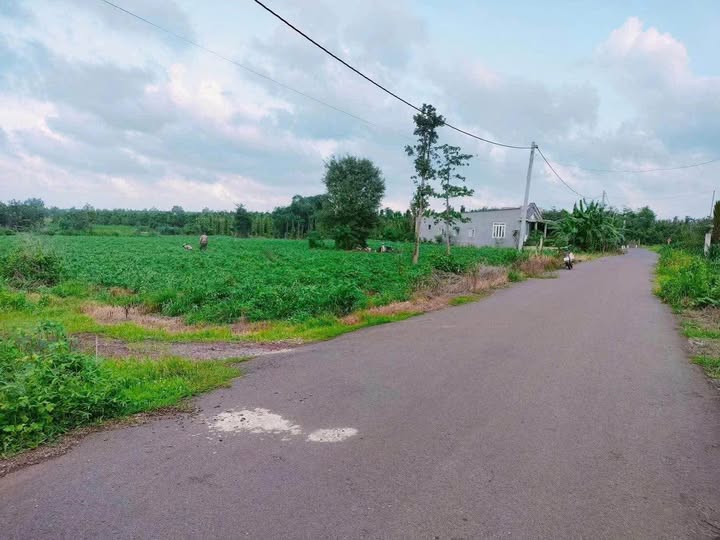 Bán đất huyện Châu Đức, tỉnh Bà Rịa - Vũng Tàu, giá 13 tỷ