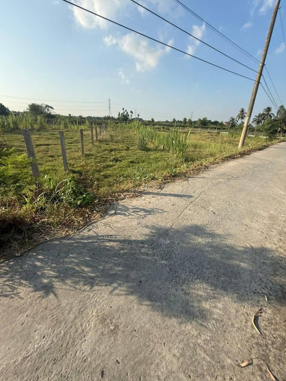 Bán đất vườn mặt tiền Kênh 8, tỉnh Long An, giá 1,5 tỷ