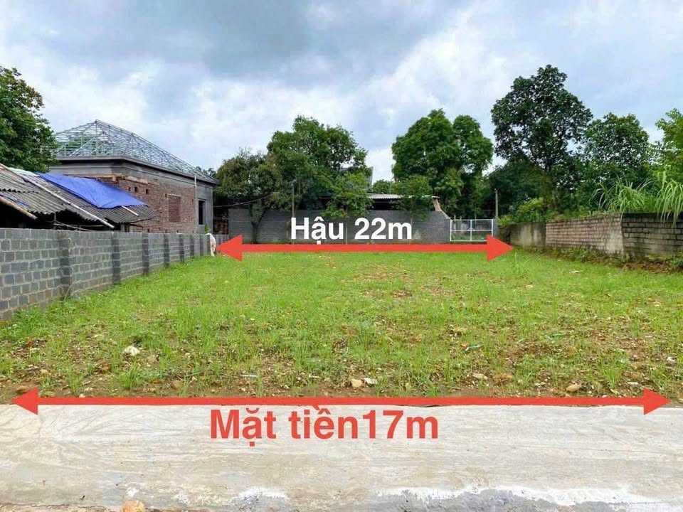 Đất Ba Vì 3300m², vườn Quốc Gia làm hàng xóm, tiền vào như nước lũ