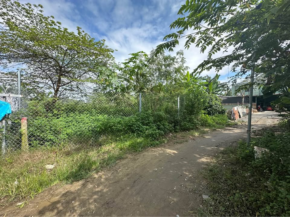 Bán đất quận Ngũ Hành Sơn thành phố Đà Nẵng, giá 450 triệu