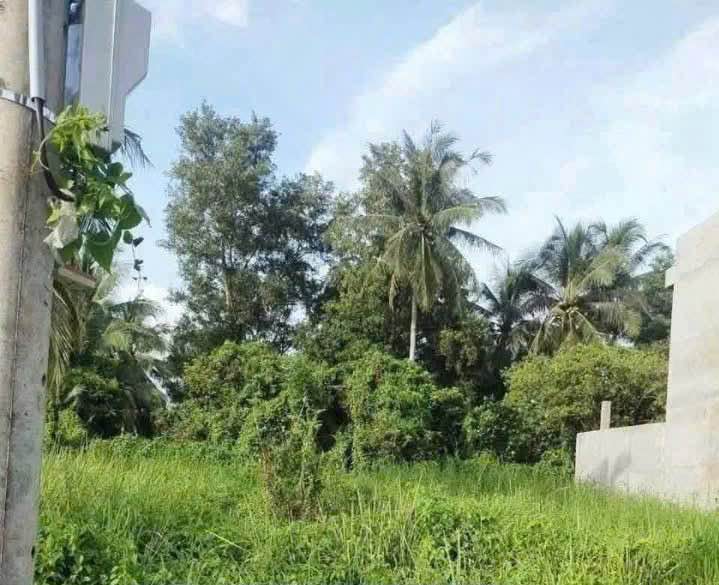 Bán đất thành phố Bến Tre, tỉnh Bến Tre, giá 585 triệu