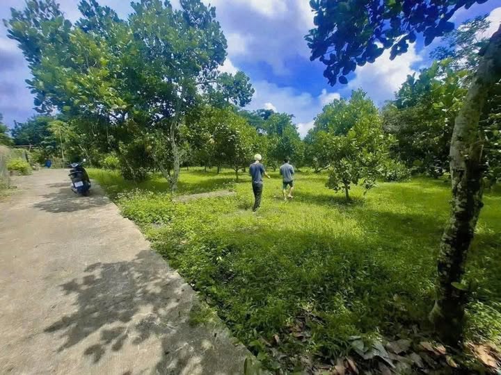 Bán nhà riêng thành phố Long Khánh, tỉnh Đồng Nai, giá 950 triệu