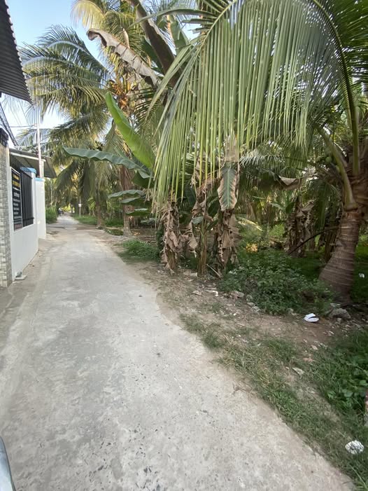 Bán nhà riêng thành phố Bến Tre tỉnh Bến Tre giá 880 triệu