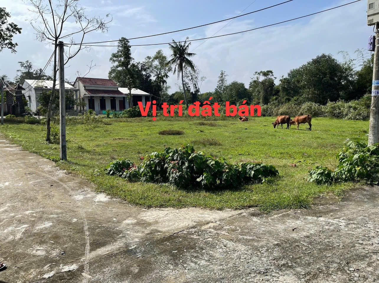 Bán lô vườn tại Nam Thăng Bình, Đà Nẵng