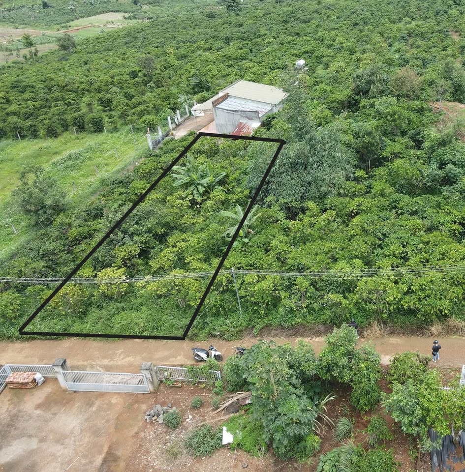 Bán đất Tân Châu cũ, nay thuộc Di Linh, chỉ 450 triệu