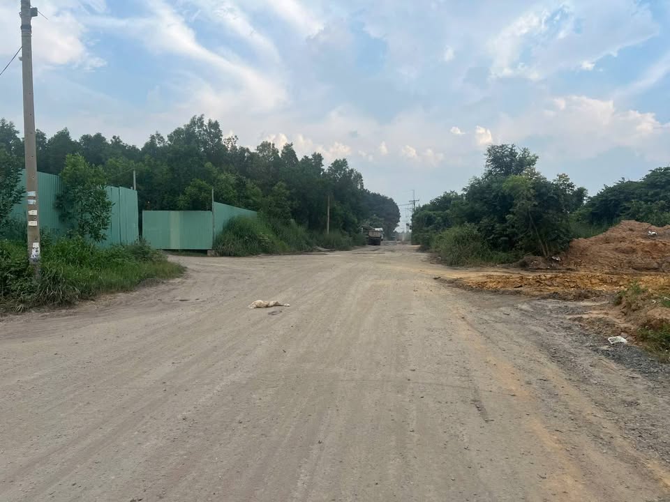 Bán đất thành phố Biên Hòa tỉnh Đồng Nai, giá 2,8 tỷ