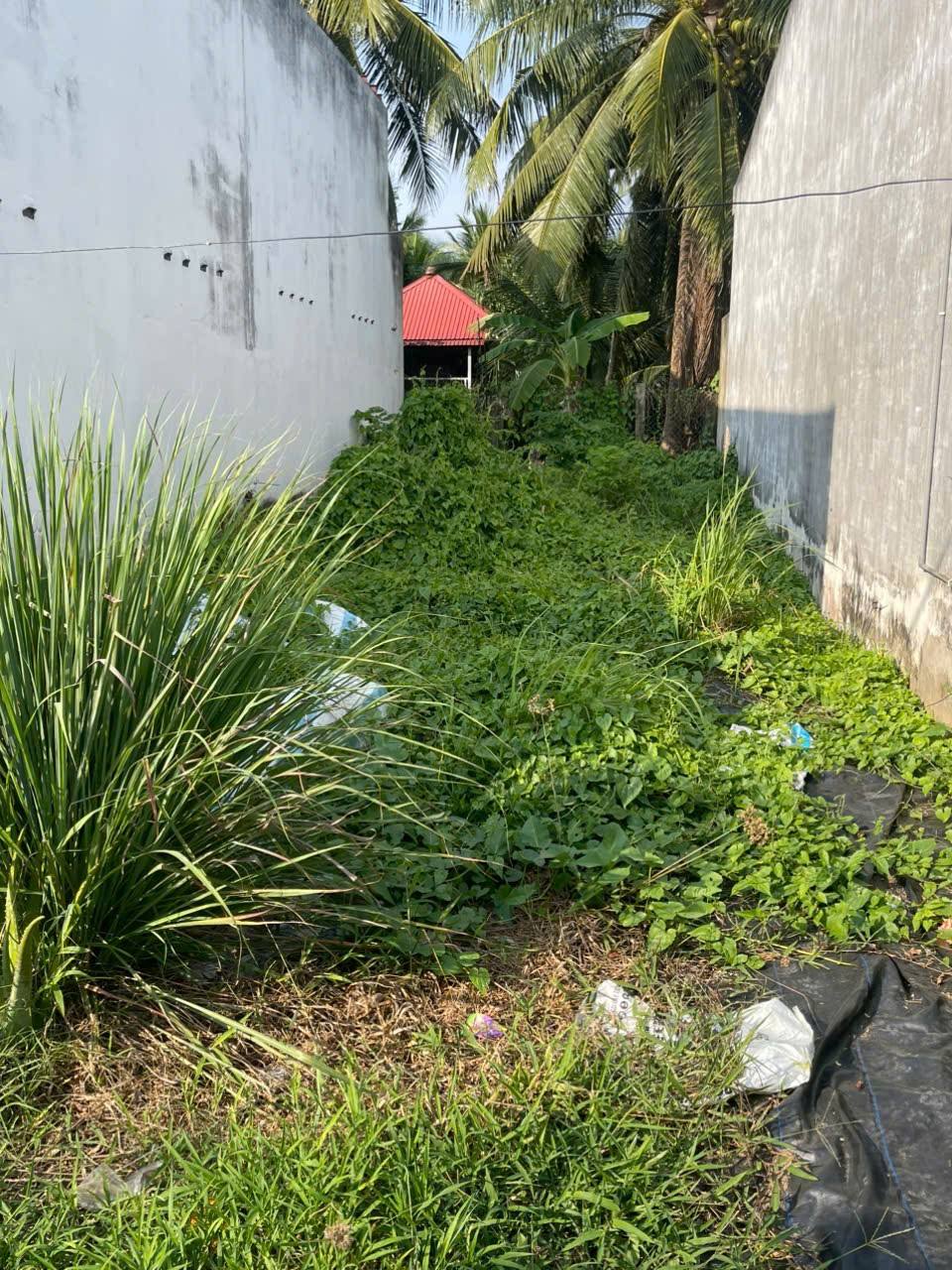 Bán đất nền dự án thành phố Bến Tre, tỉnh Bến Tre, giá 600 triệu